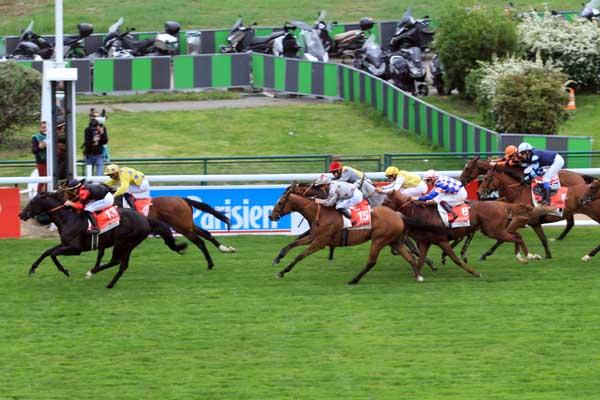 Miser sur le bon cheval