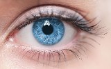 Citations oeil