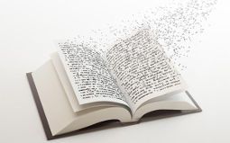 Compteur de lettres
