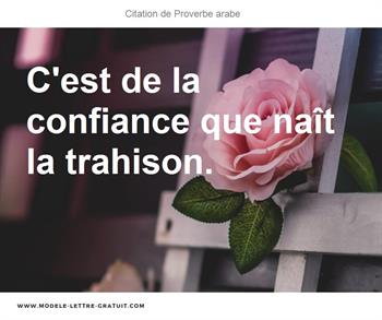 Proverbe Arabe A Dit C Est De La Confiance Que Nait La Trahison