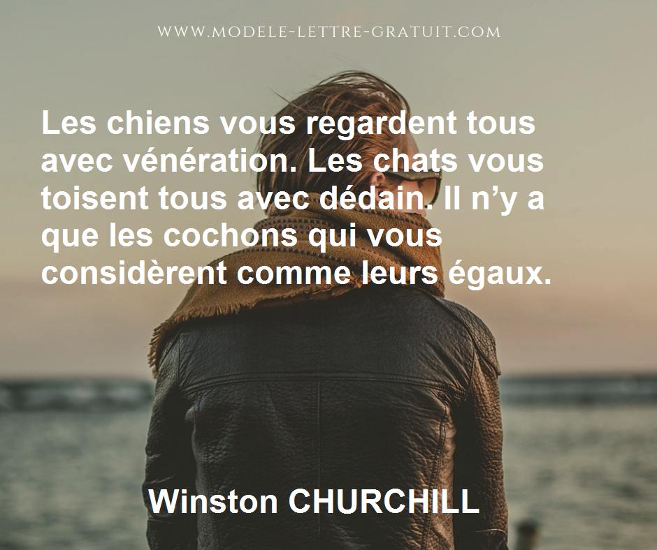 https://cdn.modele-lettre-gratuit.com/lacitation/416/1842-2.jpg