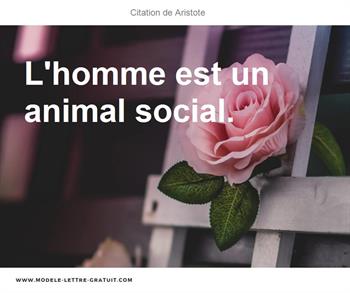 Citation de Aristote